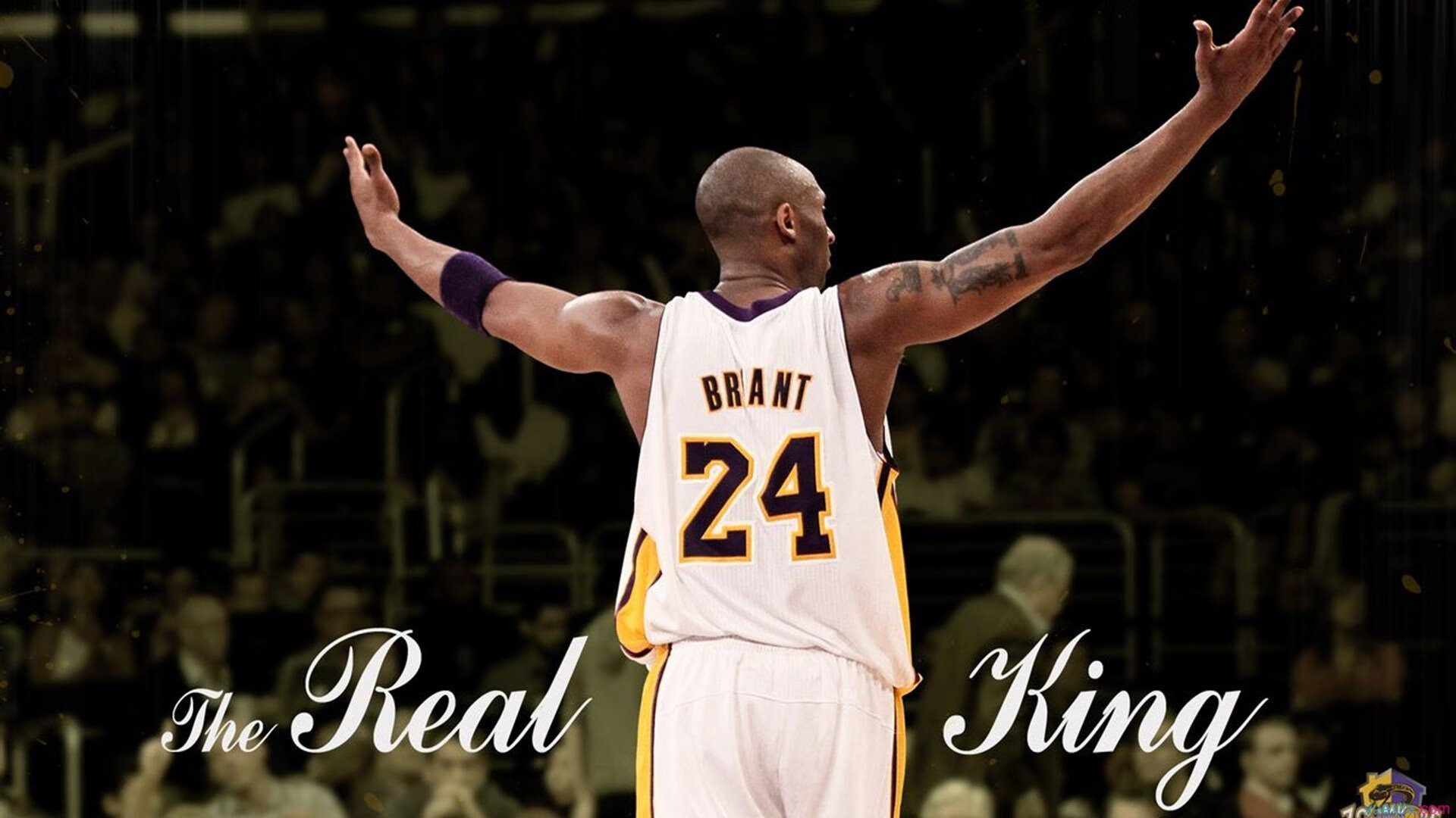 世界青少年杯比赛落幕,未来之星闪耀登场,世界青少年挑战赛